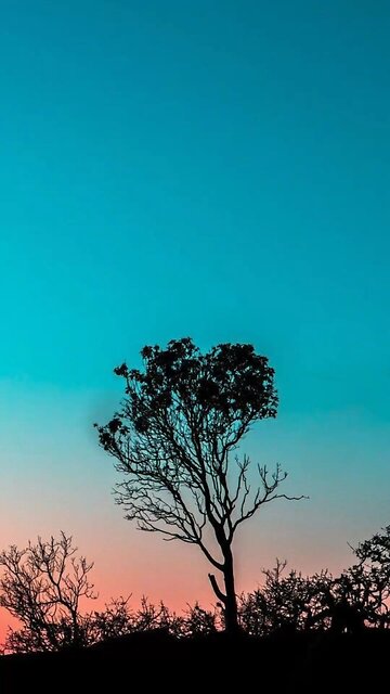 When I Stop Yielding, I Start Falling