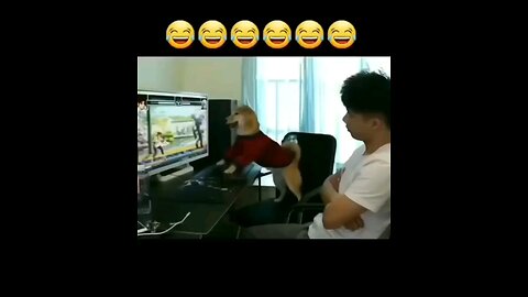 Mad gamer alert 🚨😂