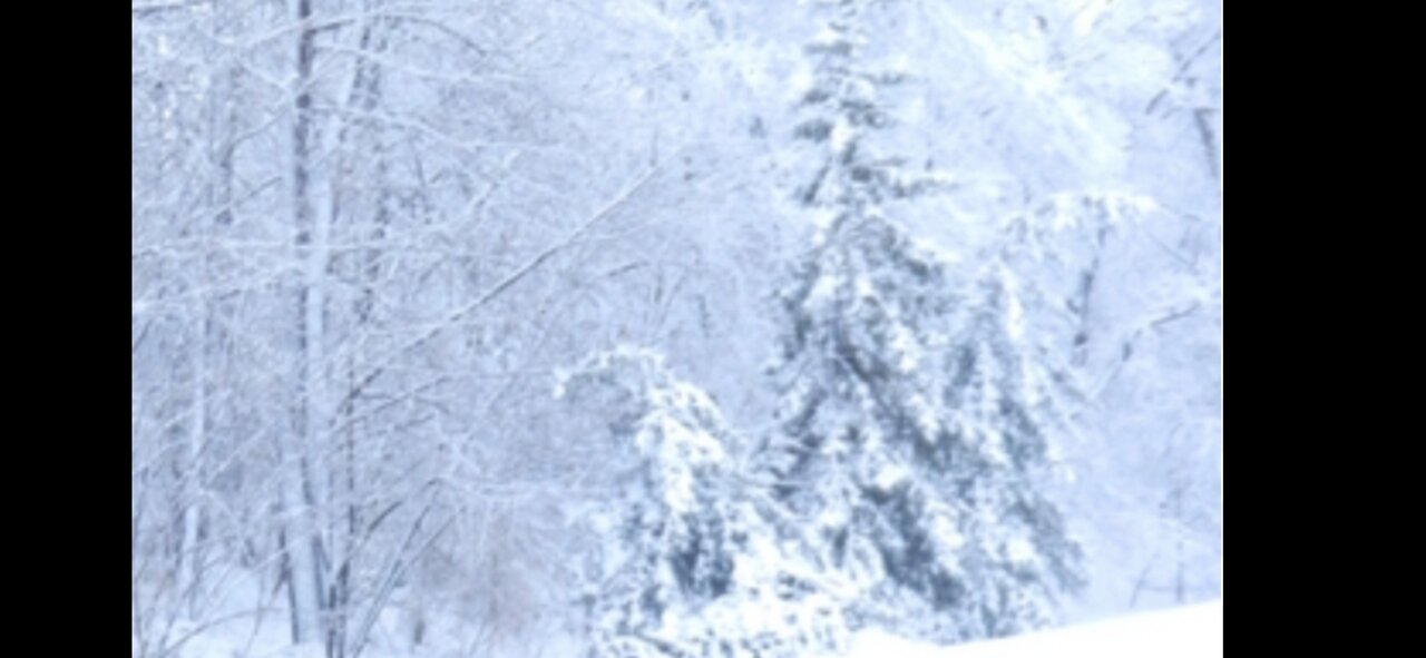 Cold, Rain, & Snow
