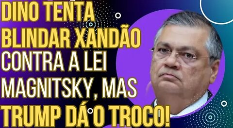 URGENTE: Flavio Dino tenta blindar Xandão contra a lei Magnitsky, mas Trump dá o troco!