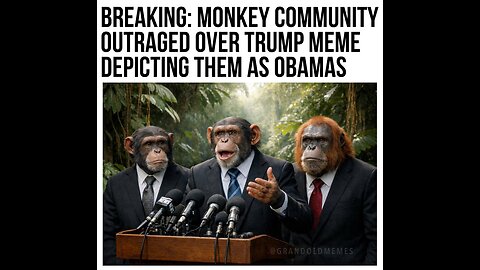 Uh oh Not what they thought, Texas Senate race and war on White American 10/Feb/26