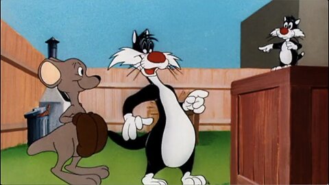 Left Turn At Albuquerque Episode 23 Looney Tunes Super Stars Sylvester: Marsupial Mayhem (& Feline Fwenzy)