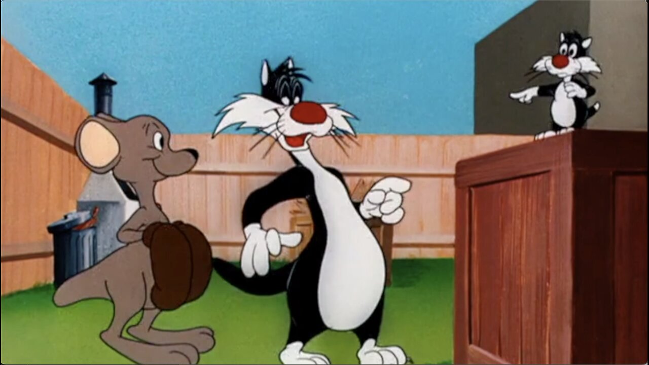 Left Turn At Albuquerque Episode 23 Looney Tunes Super Stars Sylvester: Marsupial Mayhem (& Feline Fwenzy)