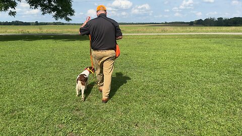 Target training with the hand!