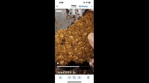 Burnt Oatmeal Cookie