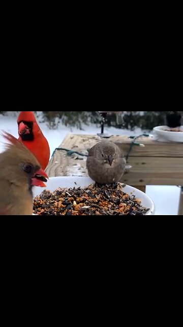 THE BLESSINGS IN HARDSHIP - DAILY DEVOTIONAL ❤️