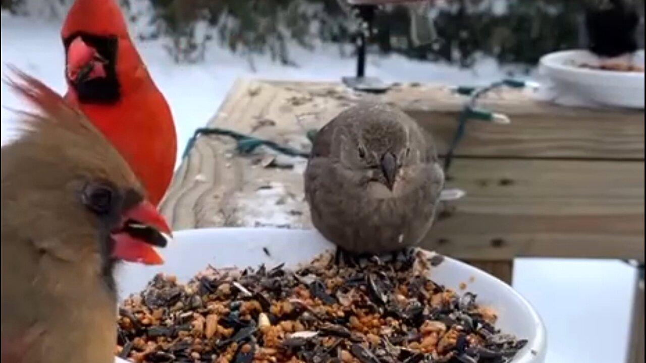 THE BLESSINGS IN HARDSHIP - DAILY DEVOTIONAL ❤️