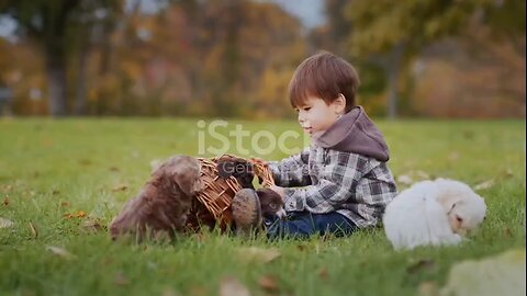 boy playing with puppy