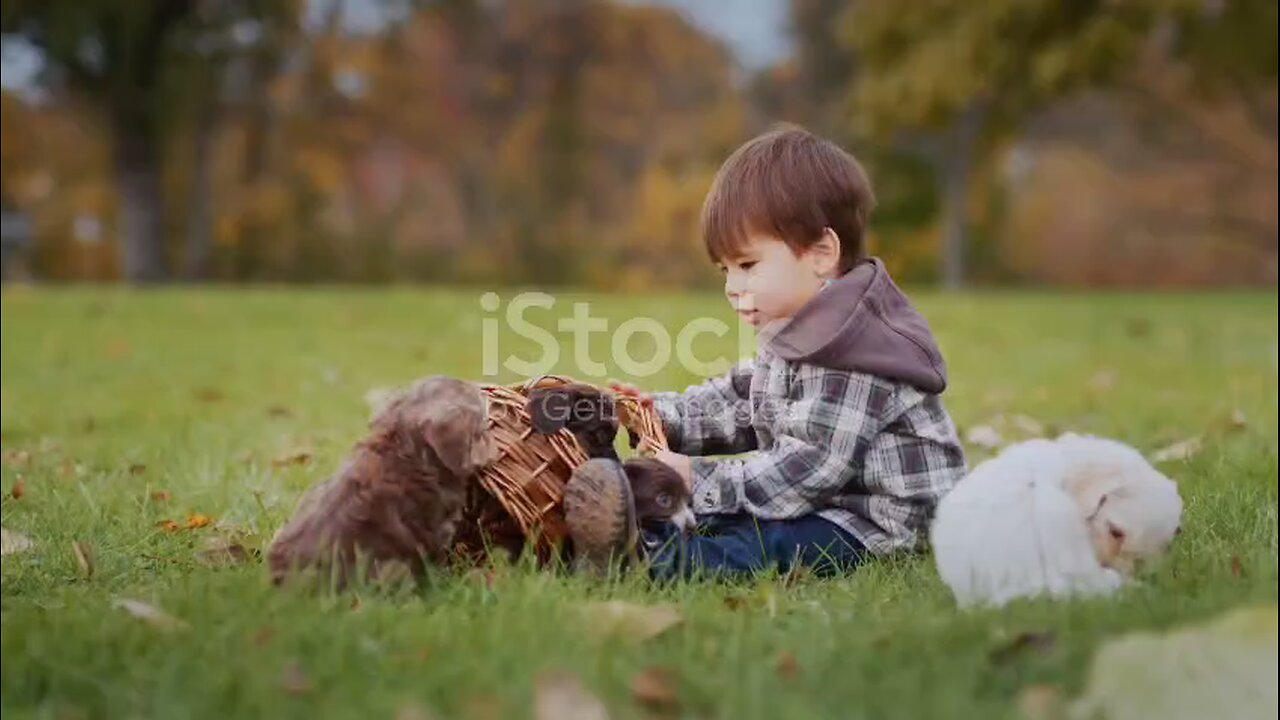 boy playing with puppy