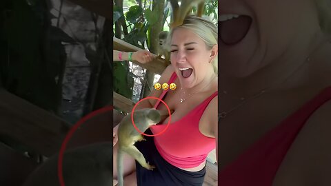 The Animals #funnyanimals #animals #pets #shorts