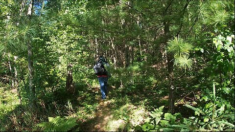 Exploration