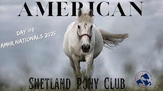 AMHR Nationals 2025 (Day #5) Ford Arena 9/8/2025