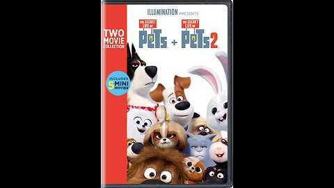 My brief summary on The Secret Life Of Pets Movies