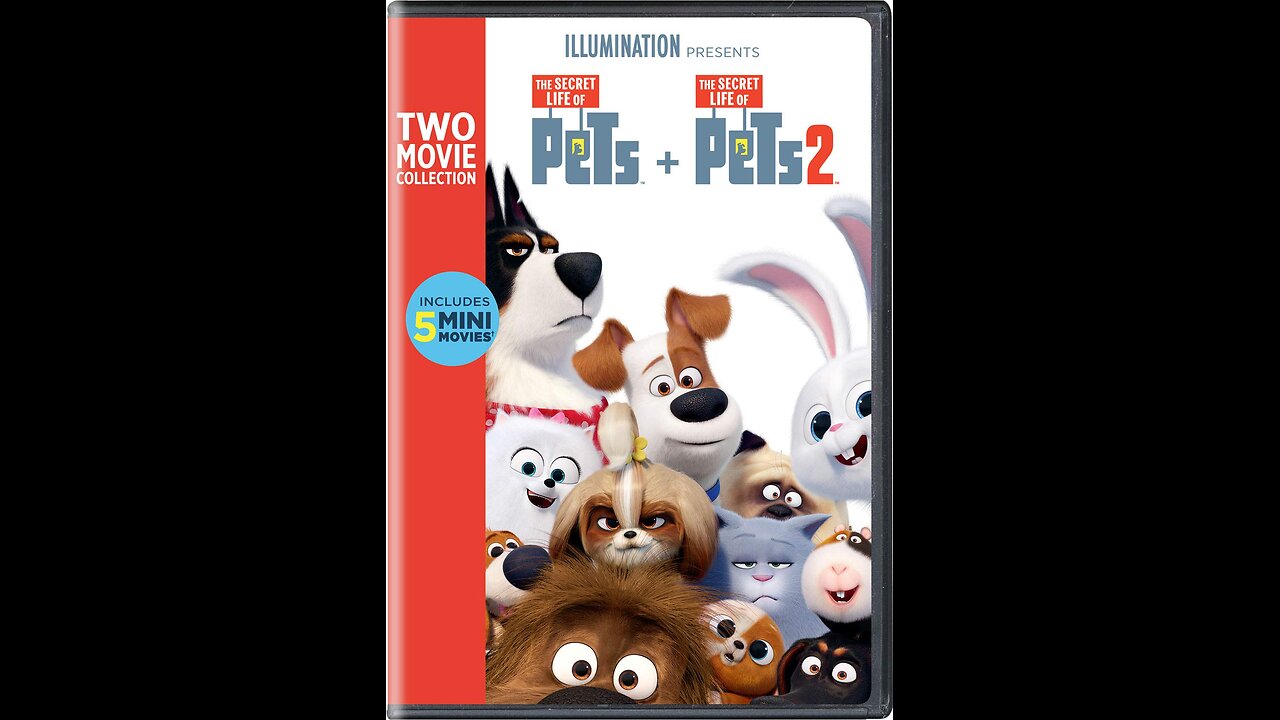 My brief summary on The Secret Life Of Pets Movies