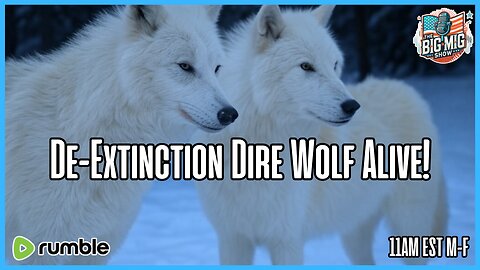De-Extinction Dire Wolf Alive! What Comes Next?