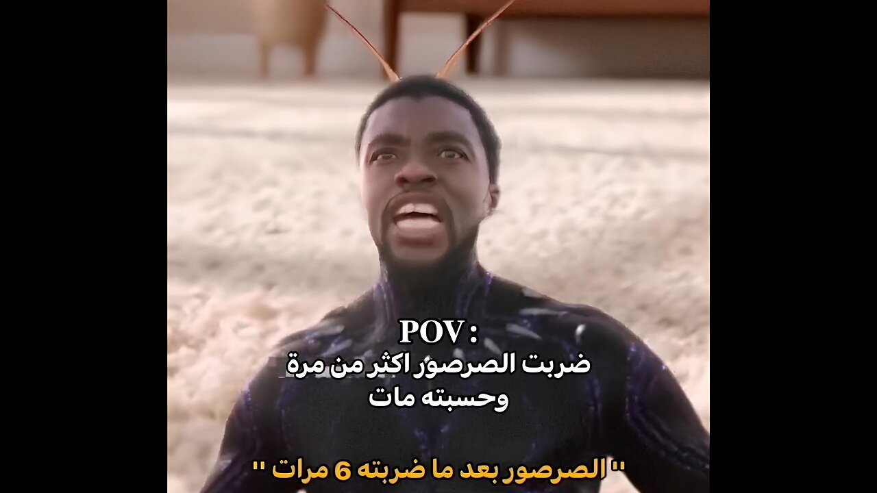 أفضل النكت مجمعة #227 تشكيلة أفضل ميمز 😂😂😂😂 ذبات تضحك