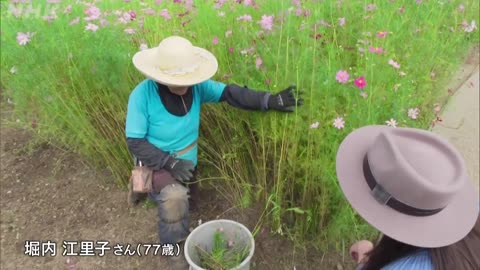 小さな旅 「わたしの富士山 ～山梨県 富士河口湖町～」