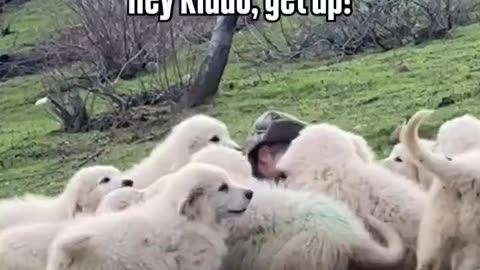 Woe Day 134. I am in the ark. Waiting for GOD to open the Door for a spring/summer Pentecost rapture