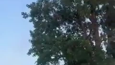 🔥🛸 Ukraine Russia War | Russian Soldiers in Civilian Clothes Hunt Down Ukrainian Thermite FPV… | RCF