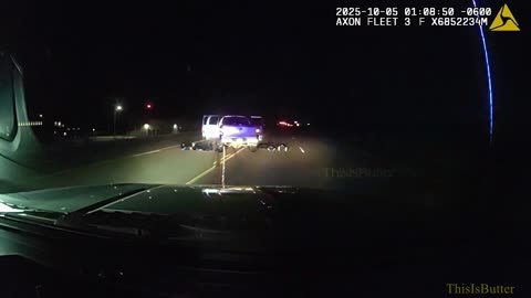 Dashcam captures trooper using grappler to stop dangerous driver