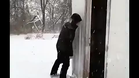 Please enjoy these ducks changing their minds