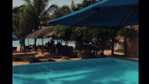 Paradise of the Indian Ocean