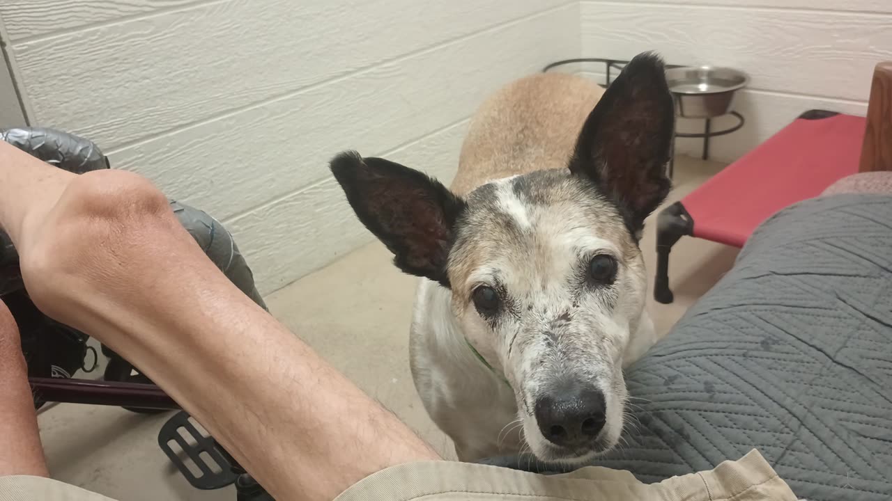 Venus 10y A851996 @TRN, is fostered kinda busy lady, we're findin our way wonderfully_20250608_791