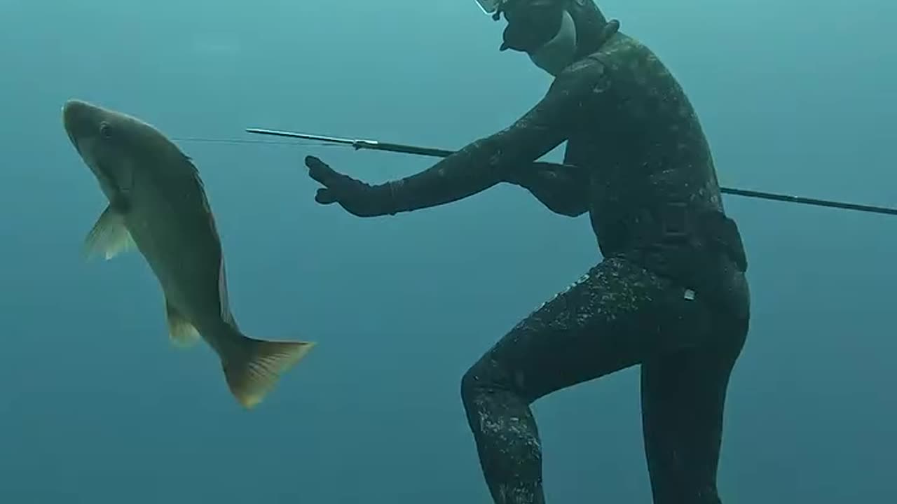 Fishing in the ocean