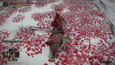 Elden Ring PC | Sanguine Noble (NPC) invasion in Consecrated Snowfield, defeat, and loot on NG