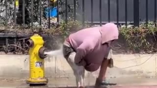 😂🌴 The California Tourism Board's Hilarious New Video! | FunFM