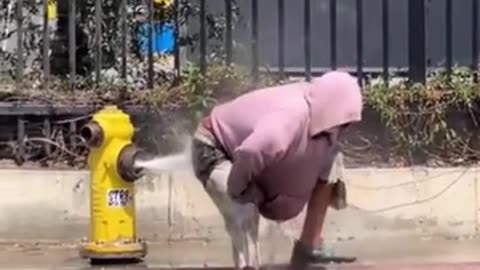 😂🌴 The California Tourism Board's Hilarious New Video! | FunFM