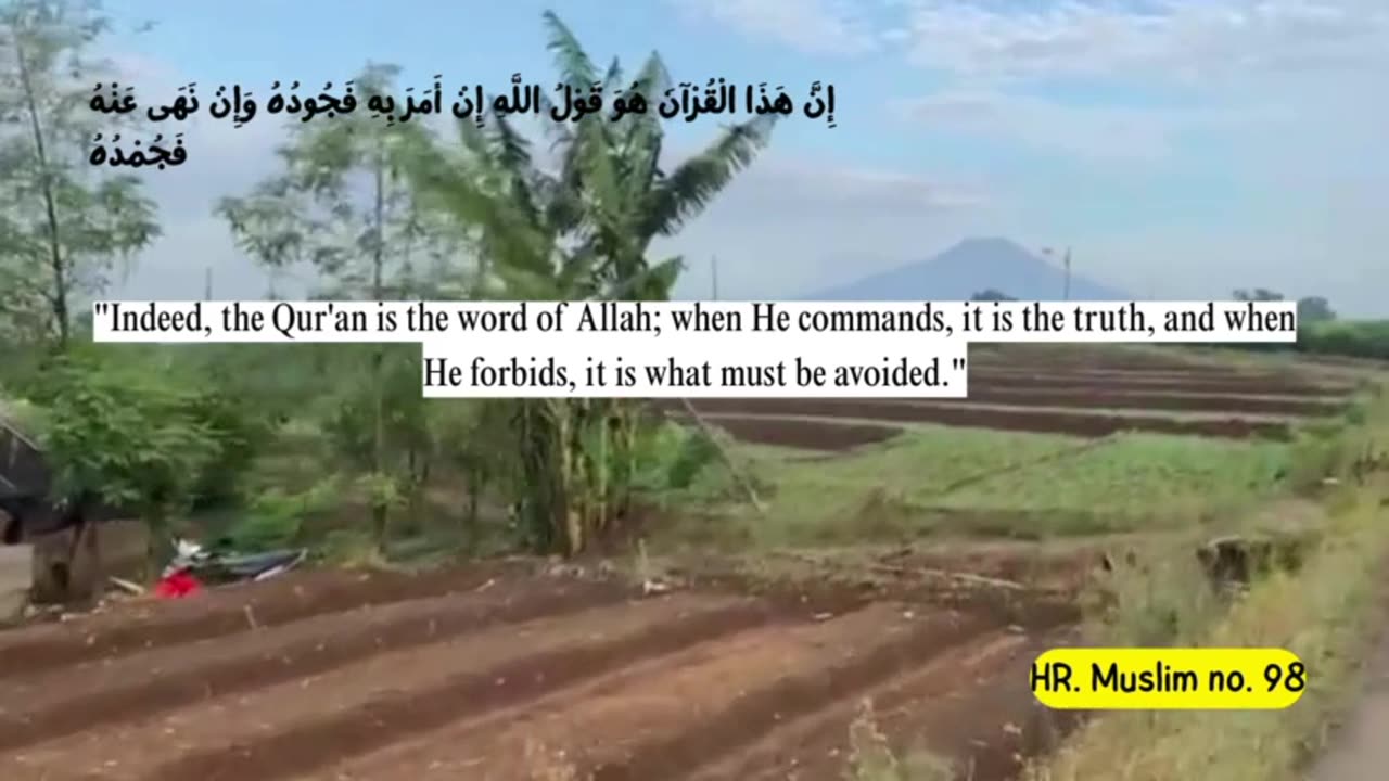 Partly about the Islamic religion 11