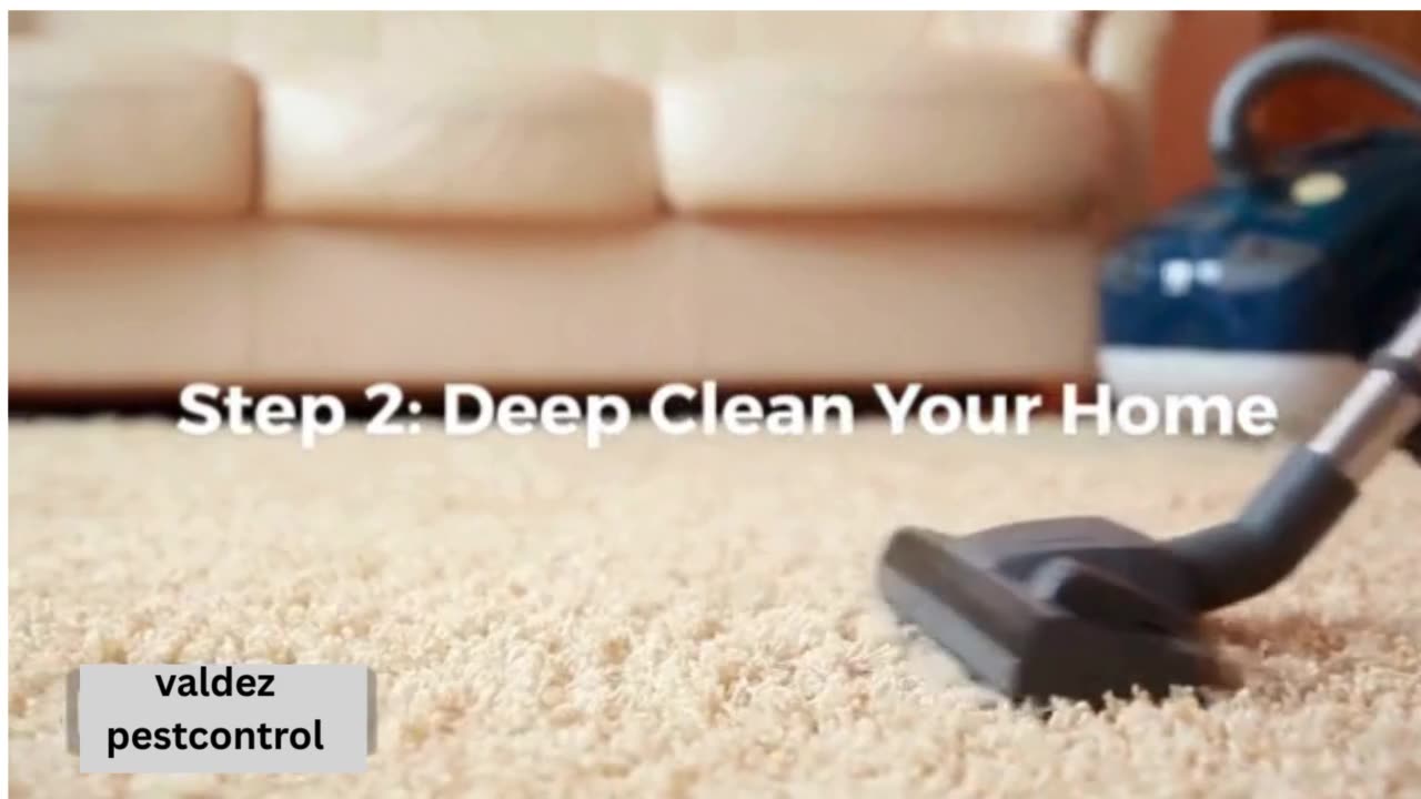 DIY Flea Control: How to Keep Your Pets & Home Flea-Free