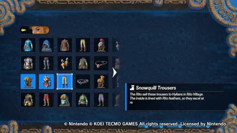 Hyrule Warriors Age Of Calamity Anti-Ice And Lightning Training