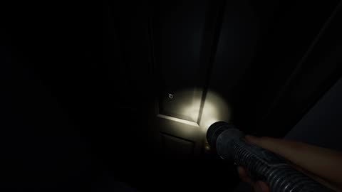 Phasmophobia - Just Going to Ignore that Terror