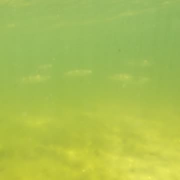 Kayak on The South Side, PT - Margem Sul, S02E08 LAGOA de ALBUFEIRA 29th of July 2K25 Part 4.2