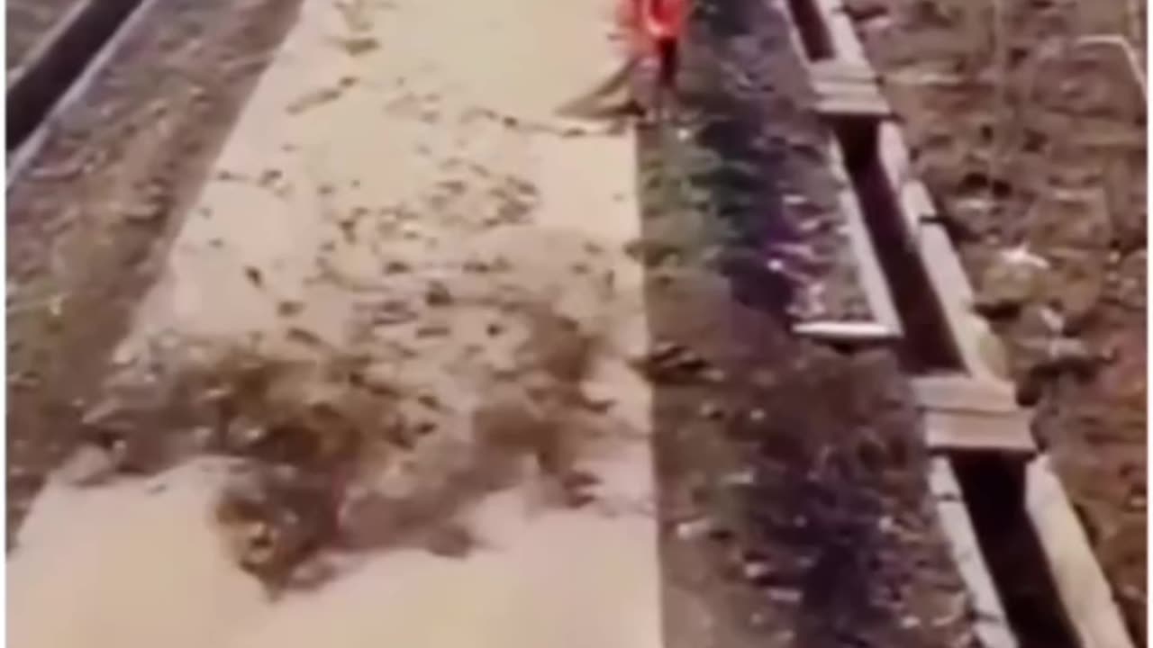 Use what you know to make someone’s day better.