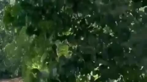 🚁💥 India Pakistan War | Pakistan Army AH-1 Cobra Gunships Strike Taliban in Malakand | RCF
