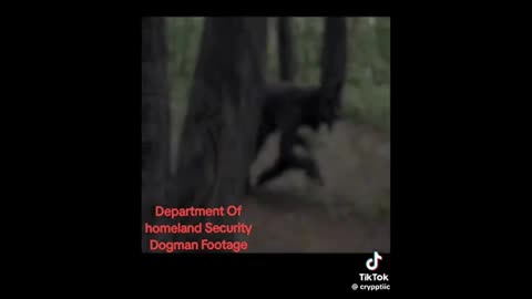 Dogman, you decide ..