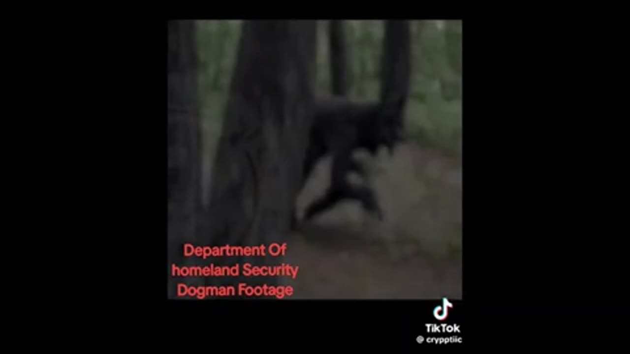 Dogman, you decide ..