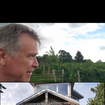 CHILLIJOKES - GRAPE THIEVES