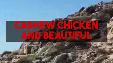 Uncovering the Ozarks Origin of Cashew Chicken and Affordable Travel