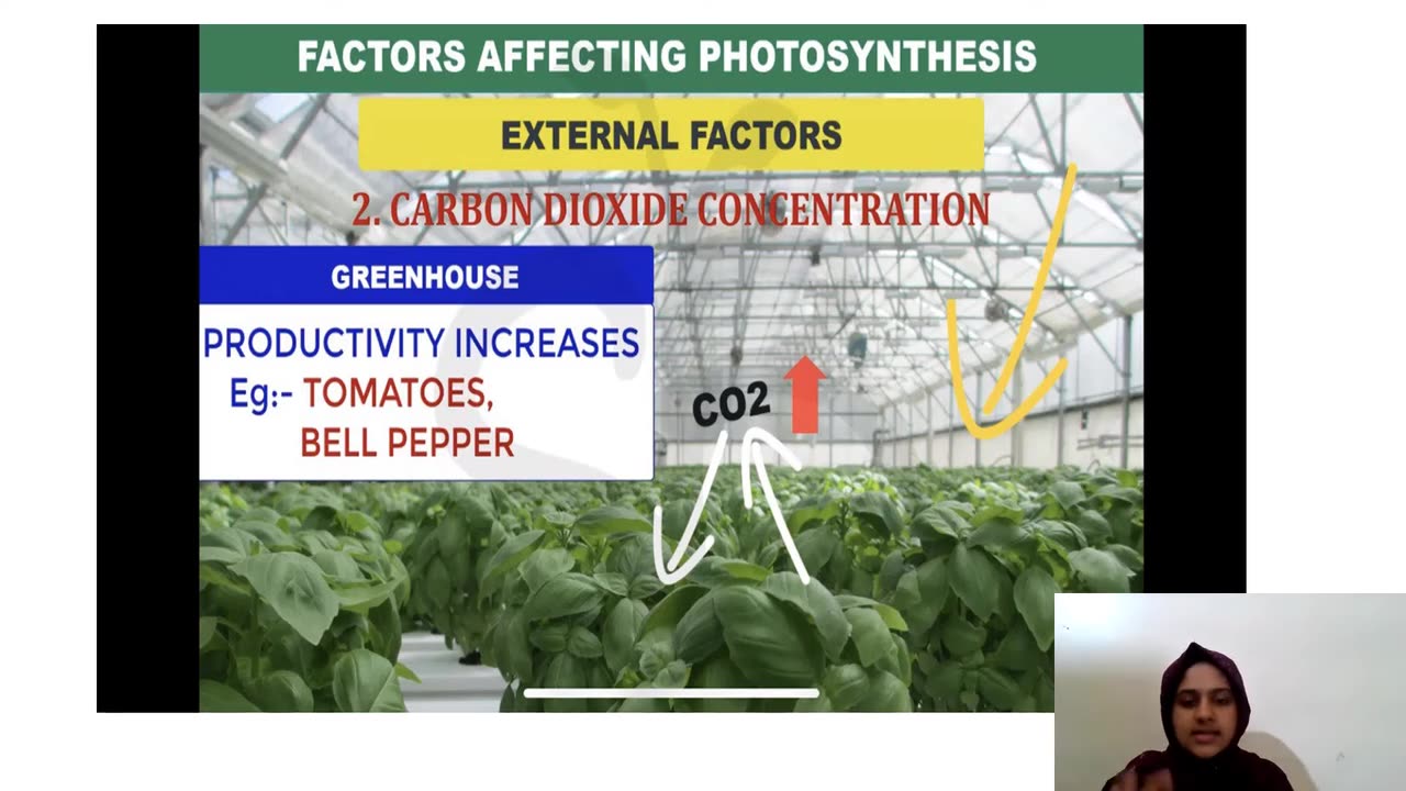 Biology Chapter 11 Part 5