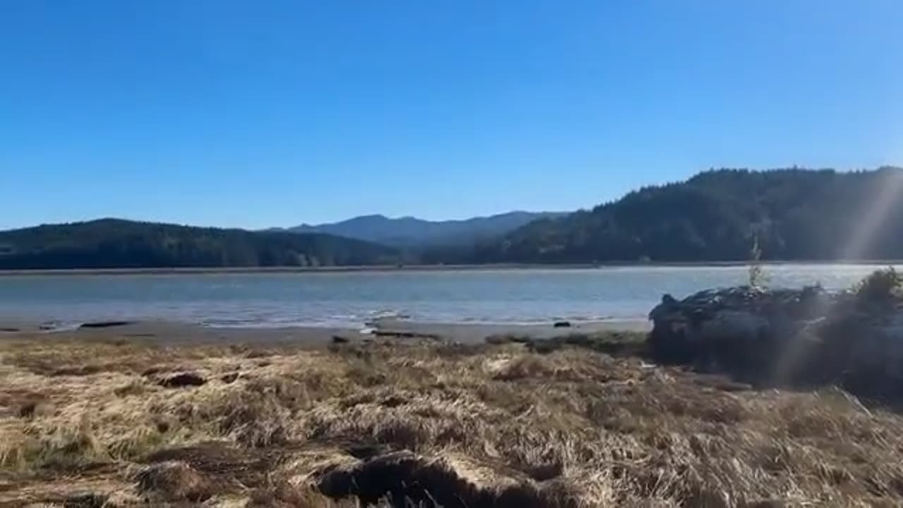 Bigfoot, Cryptids, Nephilim, & Kandahar Giant