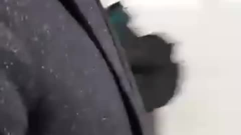 Geza Tarjanyi is working hard behind the scenes to get Matt Hancock back into court.