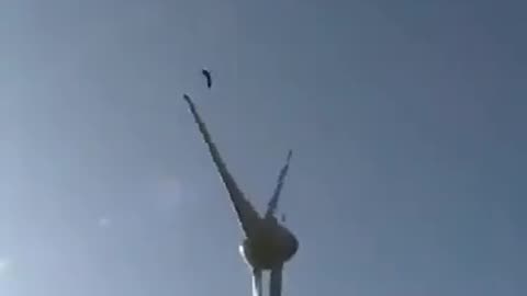 A windmill brutally injures an eagle