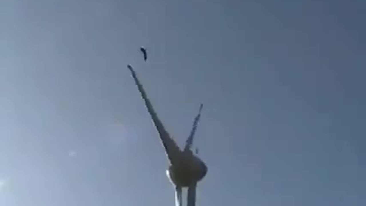 A windmill brutally injures an eagle