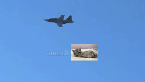 A Pair of Ukrainian Su-25UB From the 299th Tactical Aviation Brigade