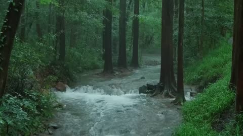 The beautiful little river is raining