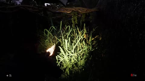 Clawed The Maze